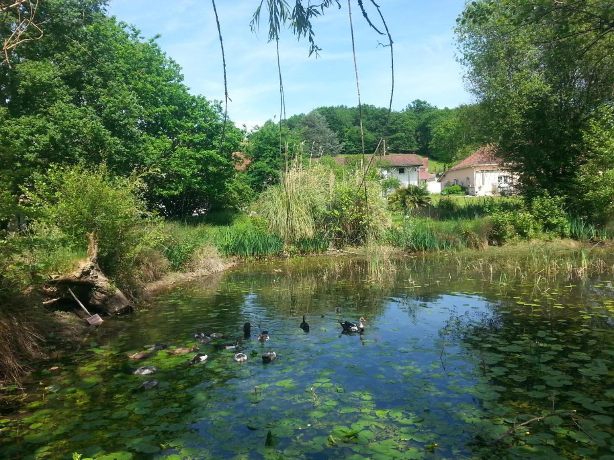 De Couleurs Et D'Eau Fraiche Bed & Breakfast Navarrenx ภายนอก รูปภาพ