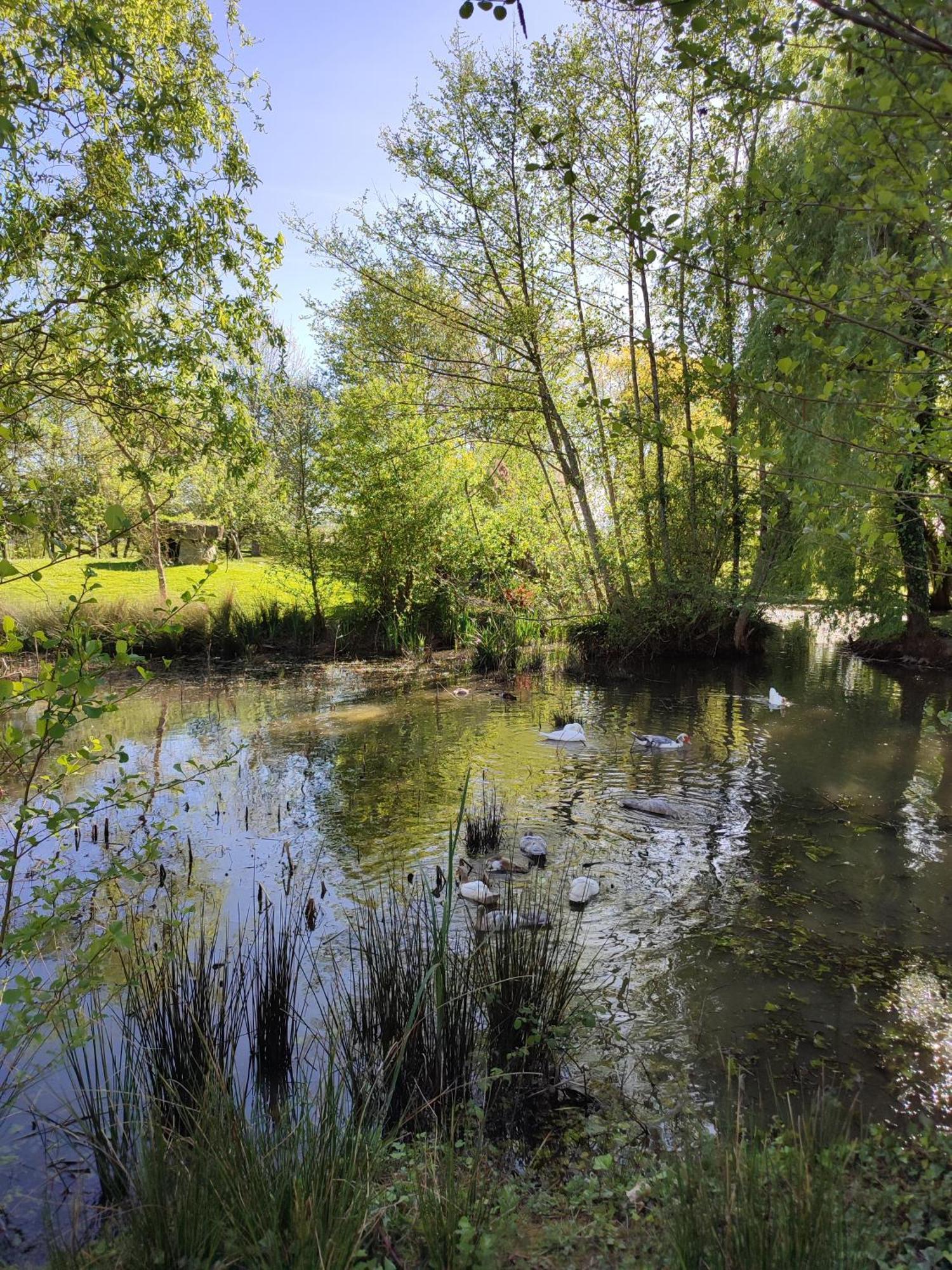 De Couleurs Et D'Eau Fraiche Bed & Breakfast Navarrenx ภายนอก รูปภาพ